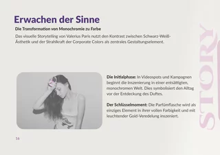 Brandbook Seite 16